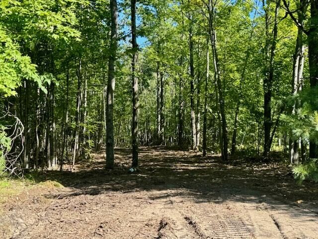 Property Photo:  Parcel B Long Lake Rd  MI 49721 