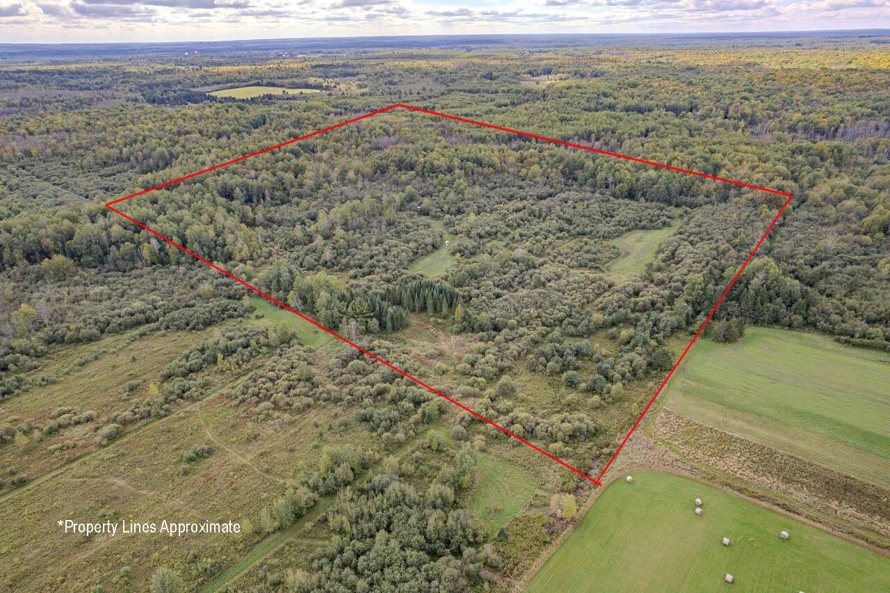 Property Photo:  40 Acres Lincoln Dr  WI 54487 