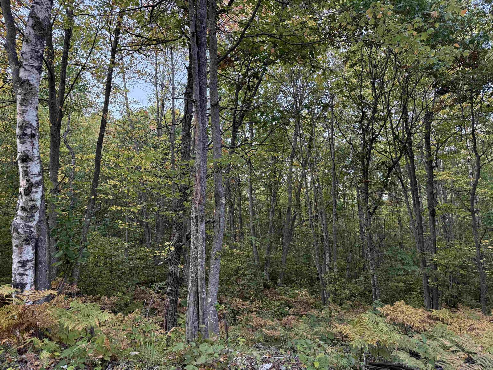 Property Photo: 000 Old Hwy 2 WI 54847