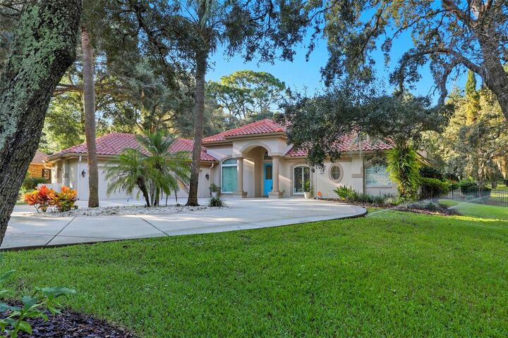 57 W Albany Lane  Hernando FL 34442 photo