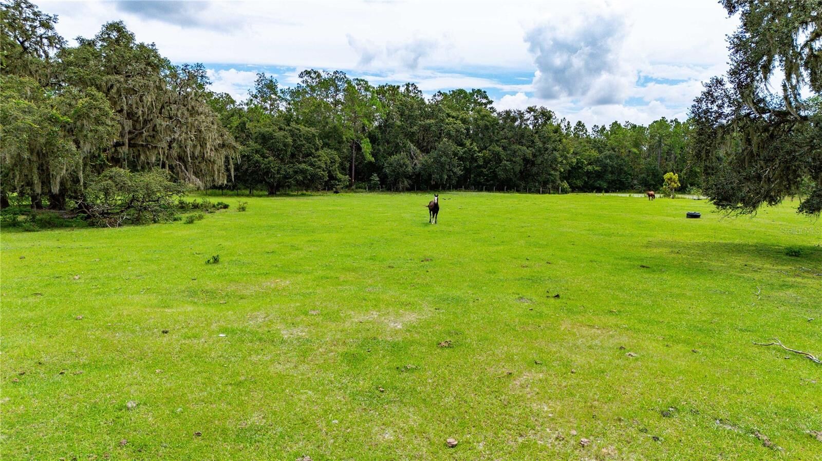 Property Photo: Pinkston Road FL 33523