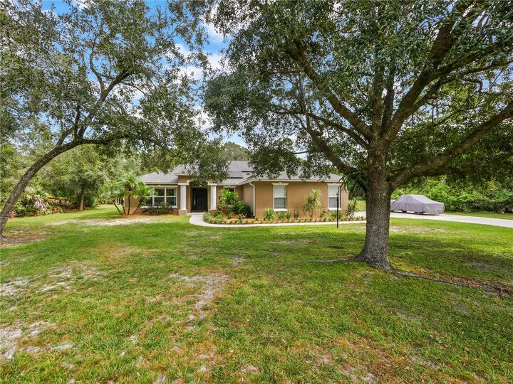 21307 Reindeer Road  Christmas FL 32709 photo