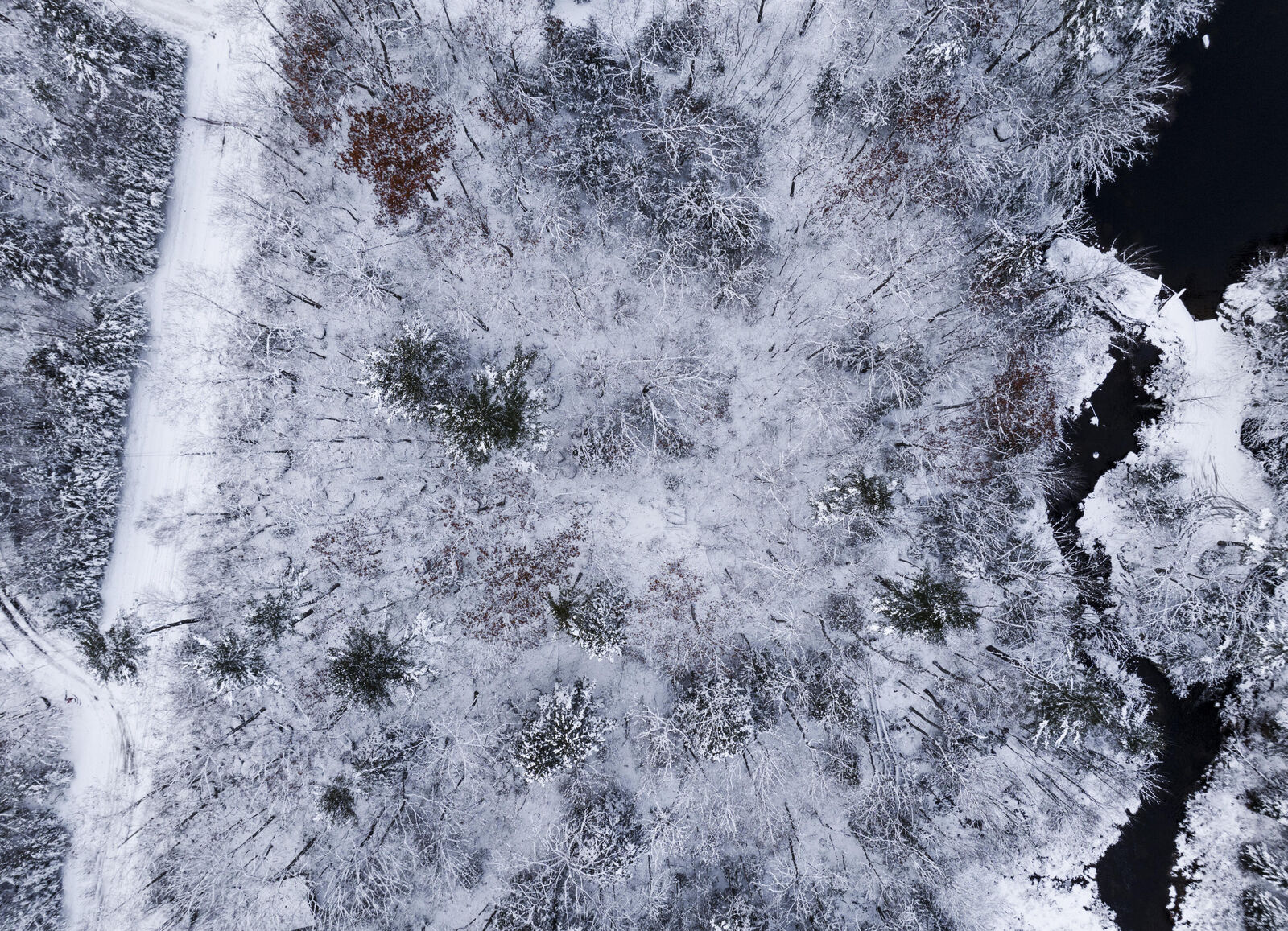 Property Photo:  M035l11-14 Ring Bolt Lane  ME 04684 