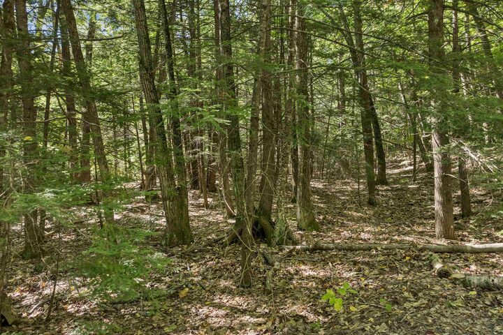 Property Photo:  Lot 5-2-1 Jesus Valley Road  NH 03810 