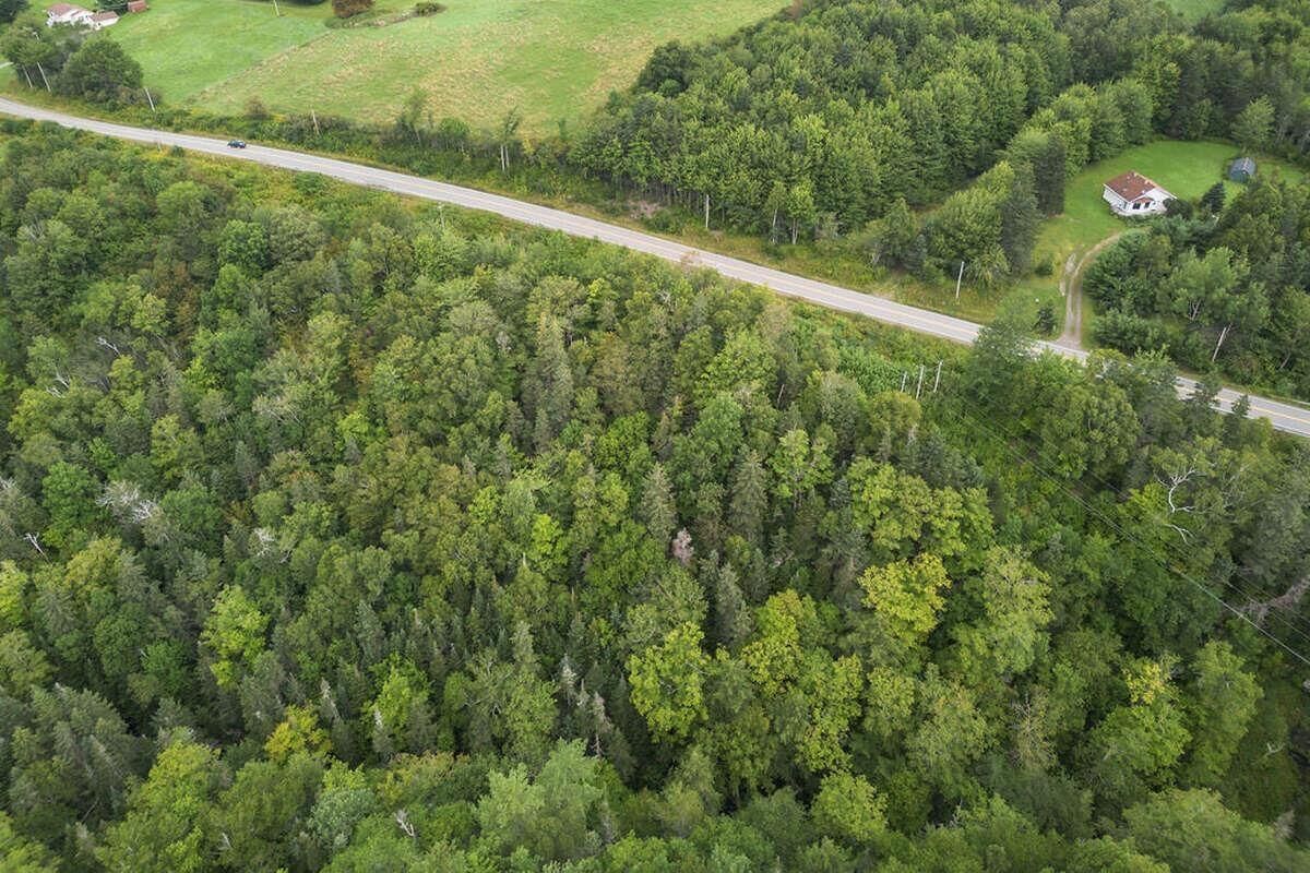 Property Photo:  Highway 252  NS B0E 1X0 