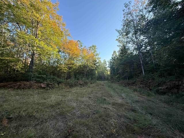 Property Photo: 000 US Hwy 2 WI 54847