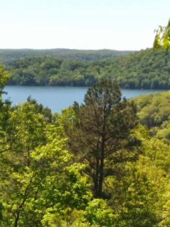Property Photo: County Road 152 AR 72632