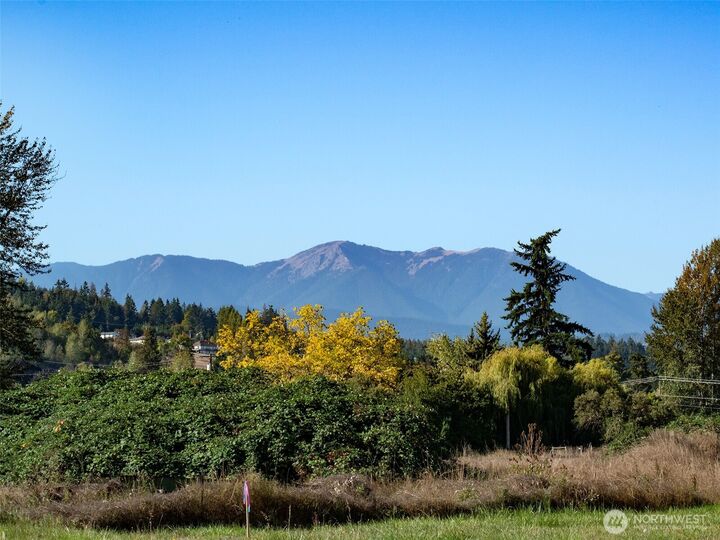 Property Photo:  9999  Broadmoor Street  WA 98382 