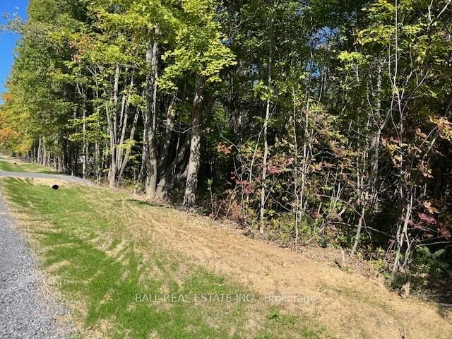 Pt 33A &Amp Pt 33B Autumn Road N — photo 1