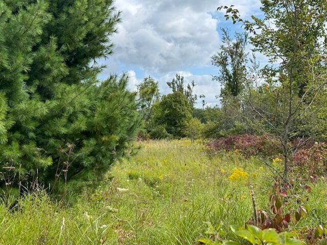 Property Photo:  Parcel 3 Vfw Rd  MI 49721 