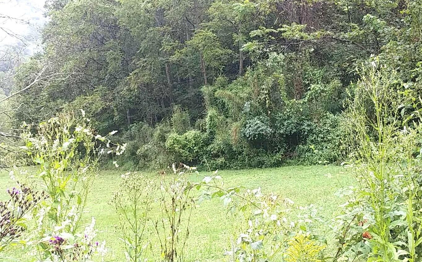 Property Photo: 0 Onzie Stewart Rd KY 40902-0000