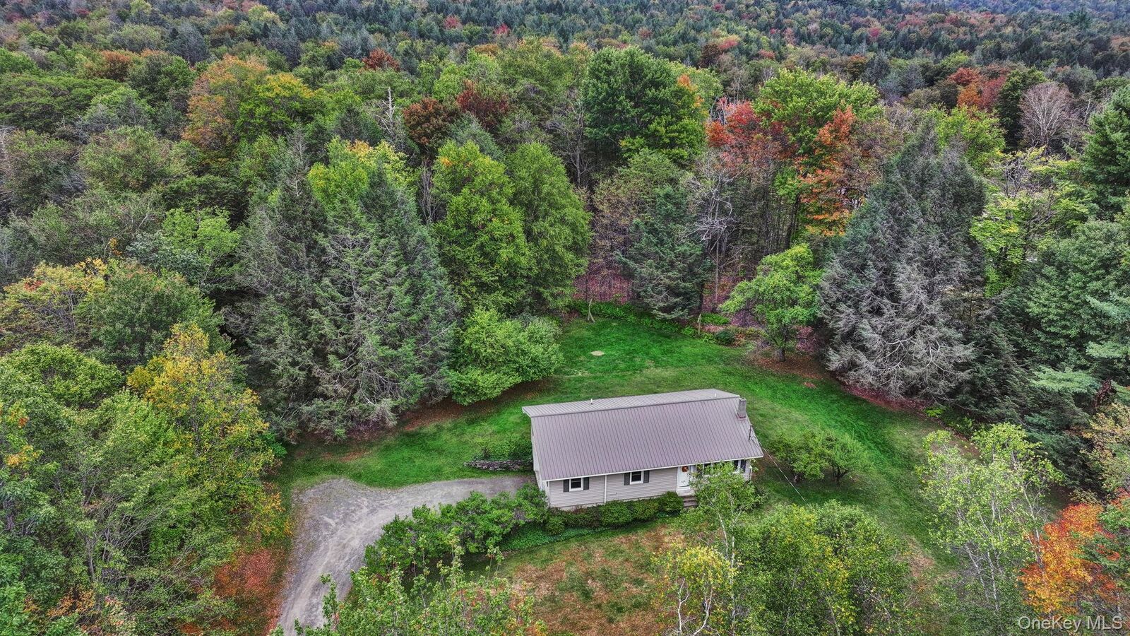 Property Photo: 148 Moore Road NY 12788