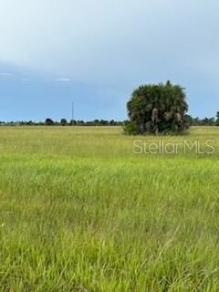 Property Photo:  14443 Sheepshead Drive  FL 33946 