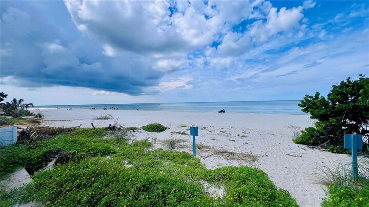 Property Photo:  2308 Beach Trail  FL 33785 