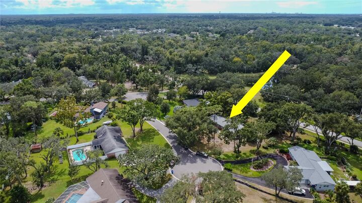 Property Photo:  4404 Hickory Branch Court  FL 33511 