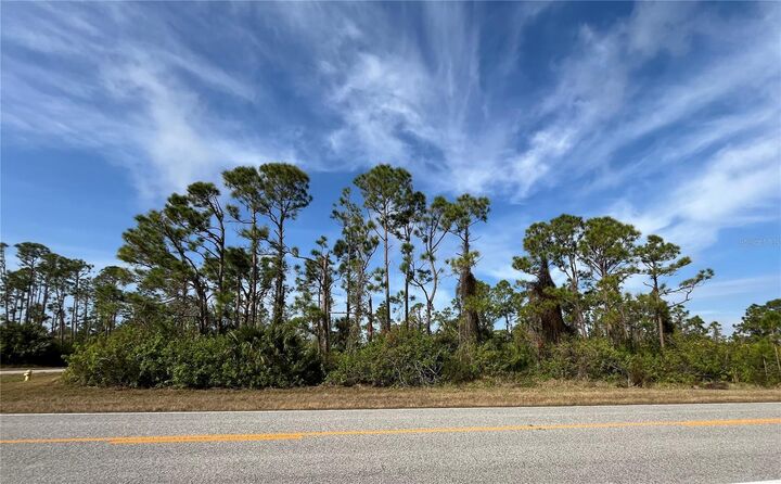 Property Photo: 14767 San Domingo Boulevard FL 33981
