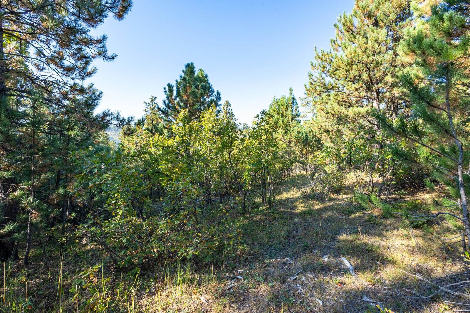 Property Photo: Lot 17 Dynasty Road SD 57754