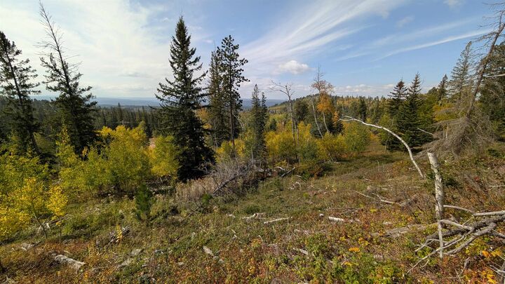 Property Photo: Ms 2066 Moose Trail SD 57754