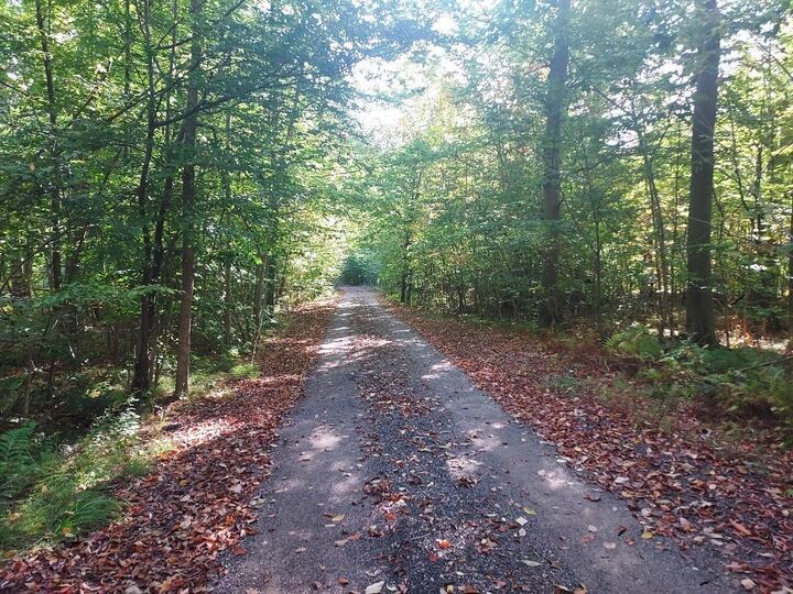 Property Photo: 16698 220th Avenue MI 49307