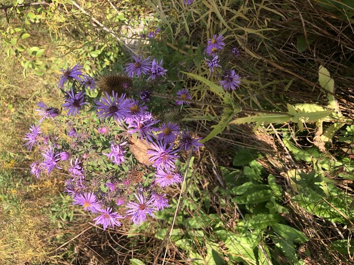 Property Photo:  8 Alexandra Drive  IL 60048