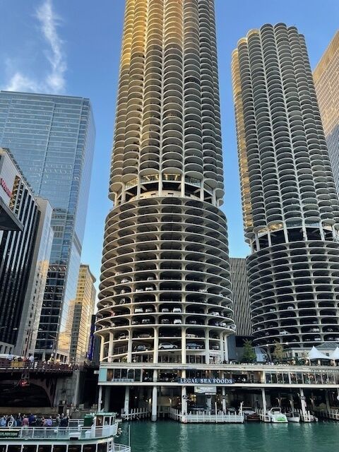 Property Photo:  300 N State Street 4607  IL 60654 