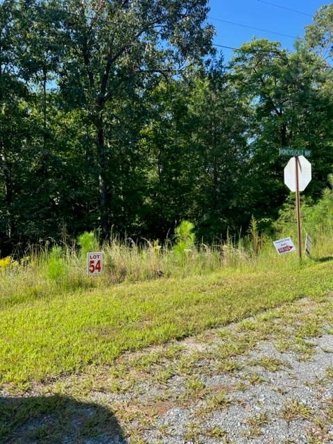 Property Photo:  Lt 54 Honeysuckle Way  GA 30540 