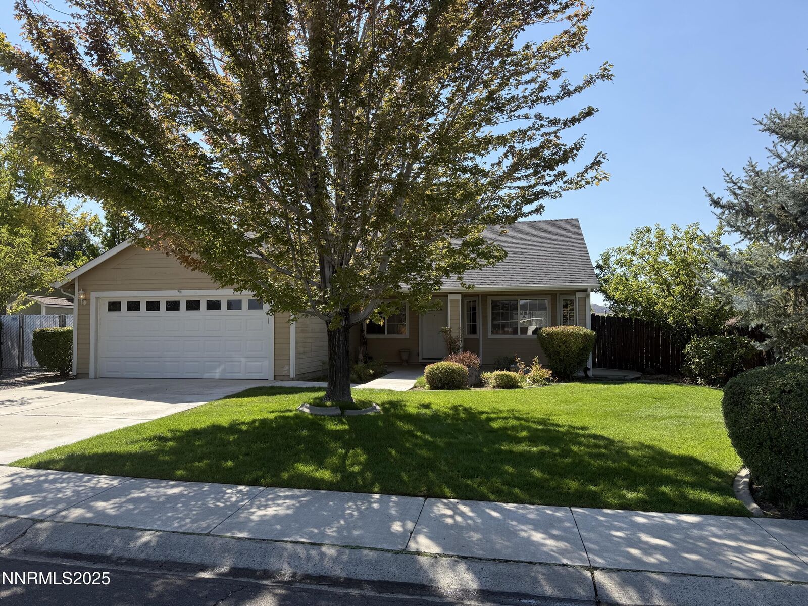 Property Photo:  723 Hornet Drive  NV 89460 