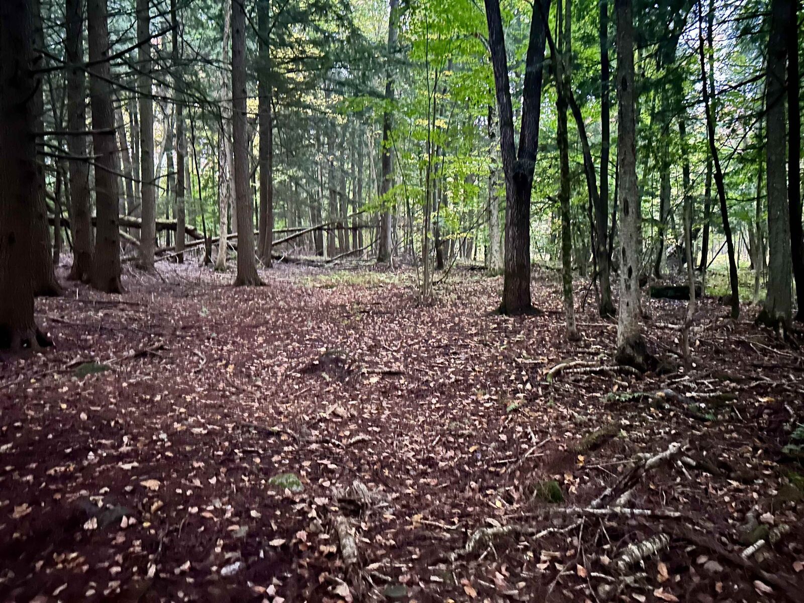 Property Photo:  Tbd Pumpkin Village Road  VT 05455 