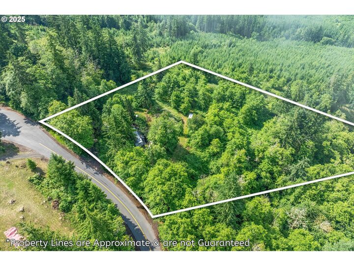 Property Photo:  220 Wagner Rd  WA 98626 