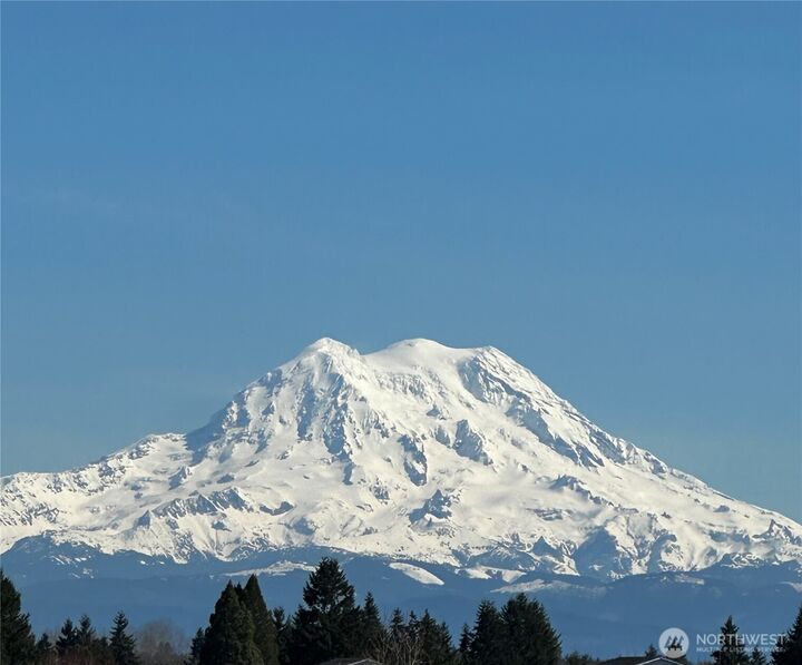 Property Photo:  9867  Jensen Drive SE  WA 98597 