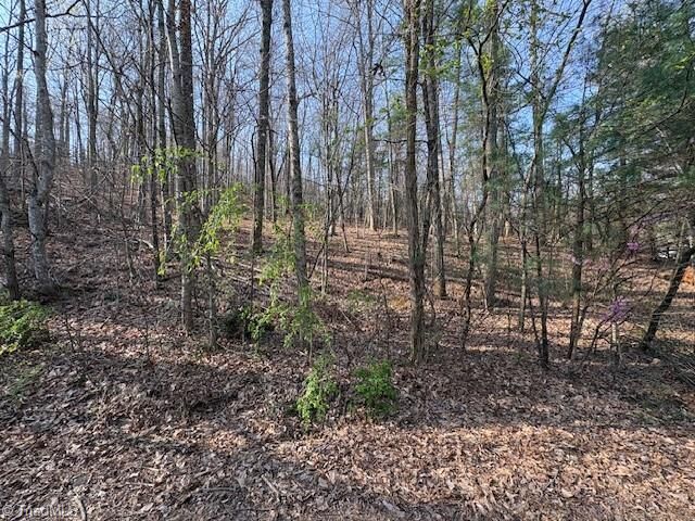 Property Photo:  Tbd Holly Tree Drive  NC 28697 