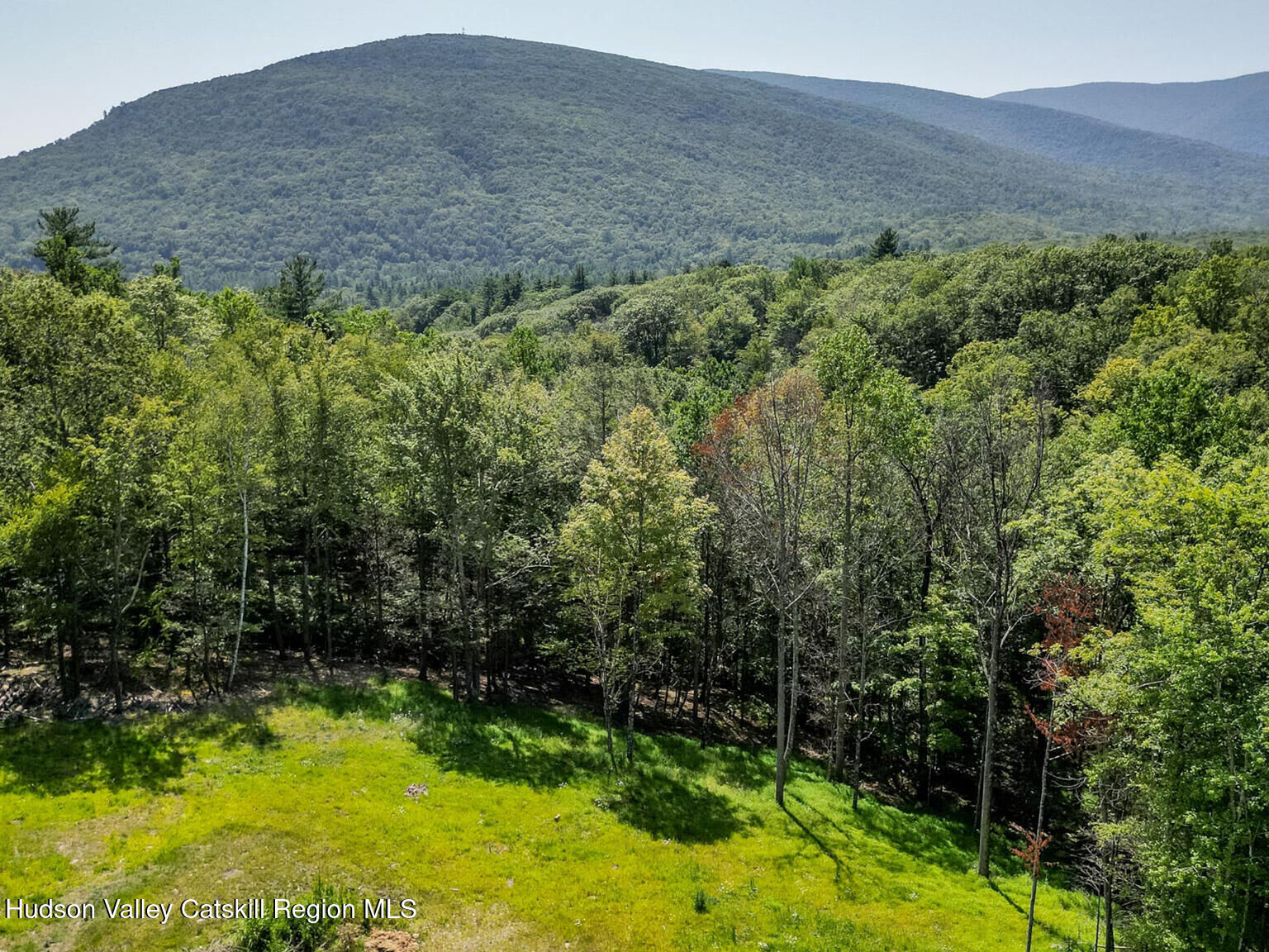 Property Photo:  61 Hillside  NY 12494 