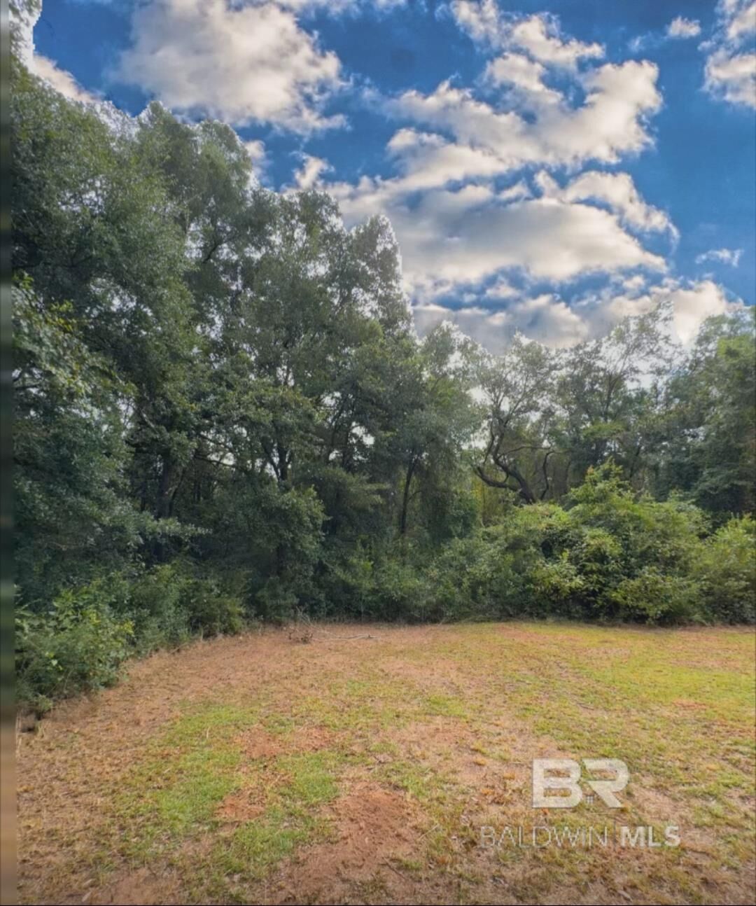 Property Photo:  17671 Williams Lane  AL 36580 
