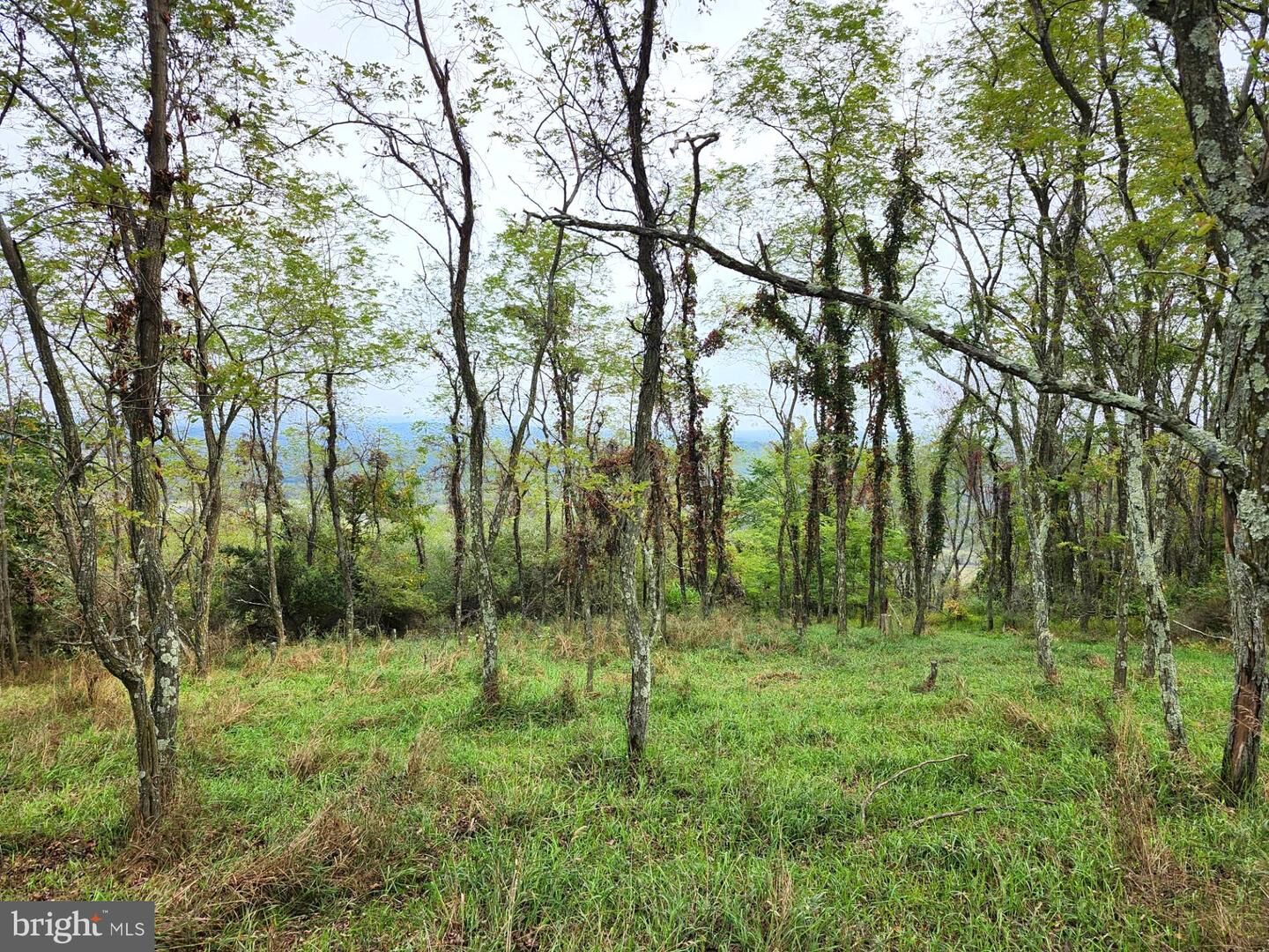 Property Photo: Hidden Valley Dr. Off Of Piney Mountain Rd. WV 26757