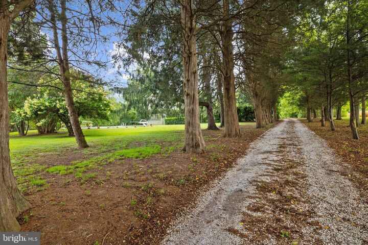 Property Photo:  111 Mt Mills Lane  MD 21658 
