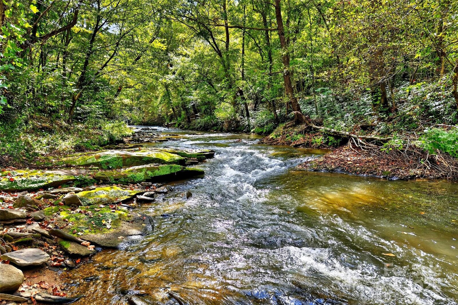 Property Photo:  Lot 49 Old Mill Road  NC 28761 