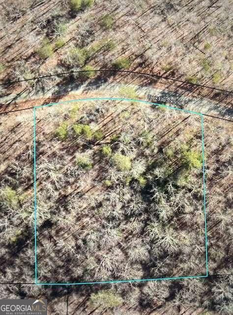 Property Photo: Lt 32 Buck Creek Road GA 30540