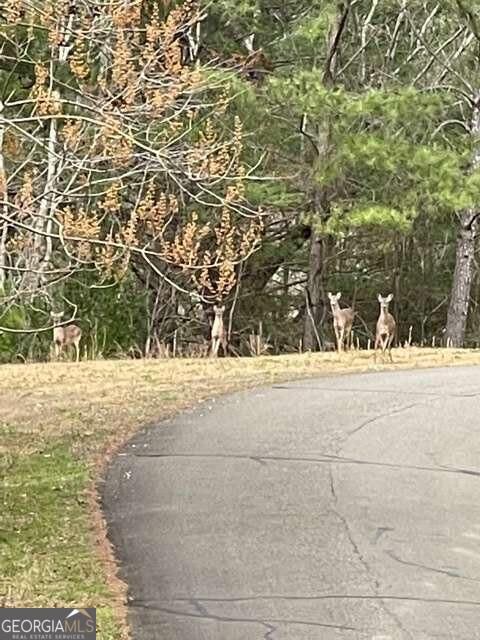 Property Photo:  Lt 33 Buck Creek Road  GA 30540 