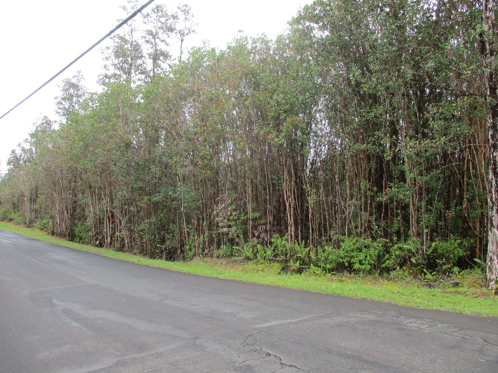 Property Photo:  Hibiscus St  HI 96771 