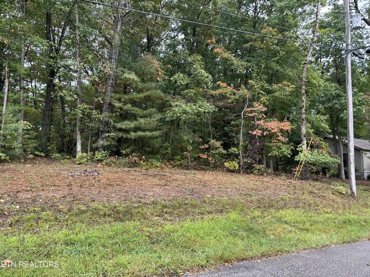 Property Photo:  149 Brambleton Drive  TN 38558 