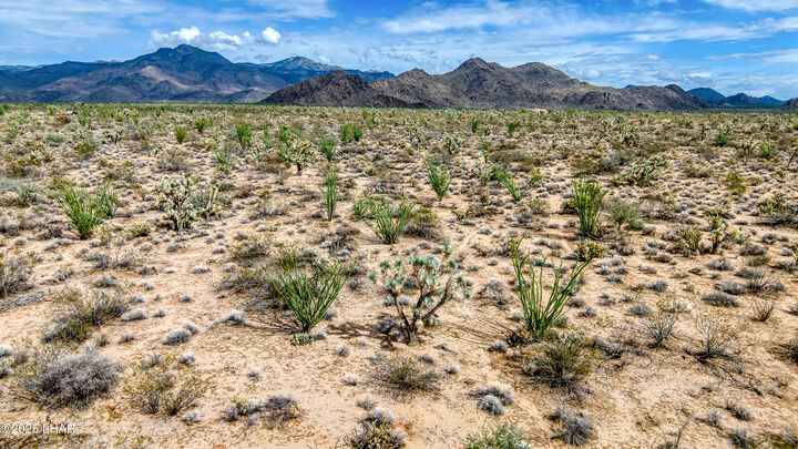Property Photo:  3607 S Kit Carson Rd  AZ 86438 