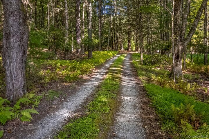 Property Photo: 101 Lackawack Hill Road NY 12458