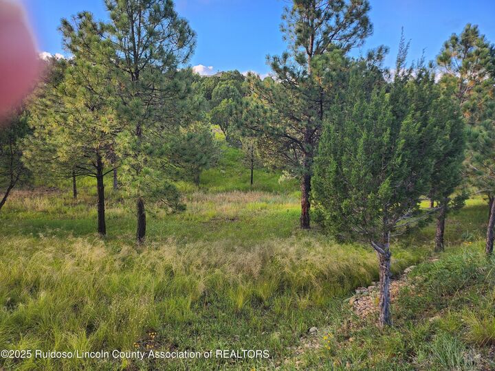Property Photo:  Lot 43 Alto Mesa Road  NM 88312 