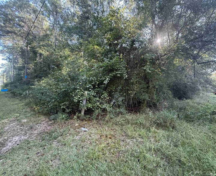 Property Photo:  0000 Overstreet Loop  TX 77625 