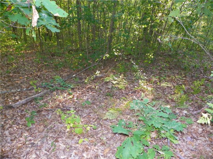 Property Photo:  0 Hickory Hill Rd W  NY 14810 