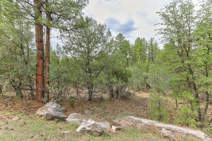 Property Photo: 89 Lot 89 Solitude Pines AZ 85544