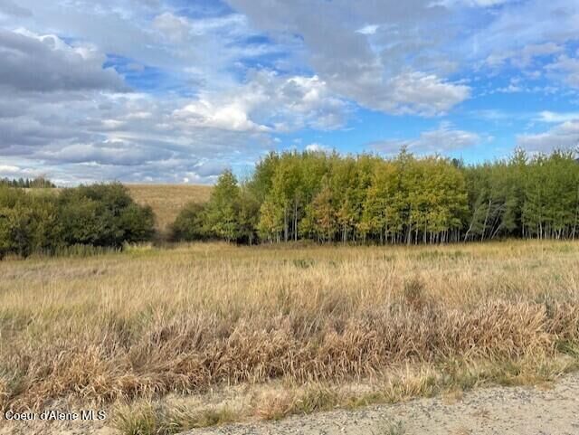 Property Photo:  Nka Fox Road 150 Acres  ID 83870 