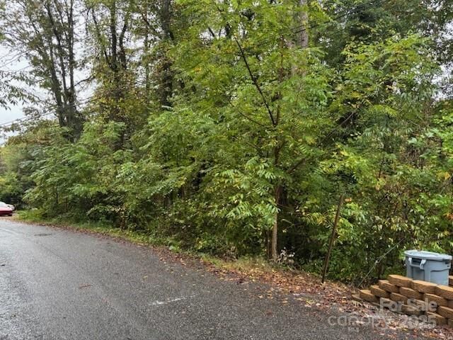 Property Photo:  0 White Dogwood Lane  NC 28786 