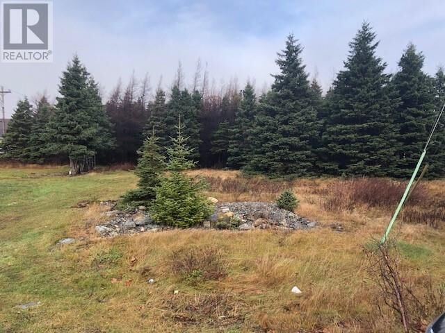 Property Photo:  121-123 Highway East  NL A0A 4G0 