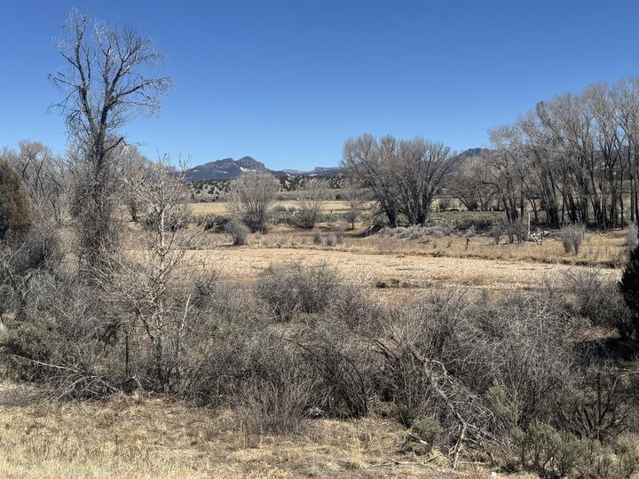 1125 S Juniper Cir  Panguitch UT 84759 photo